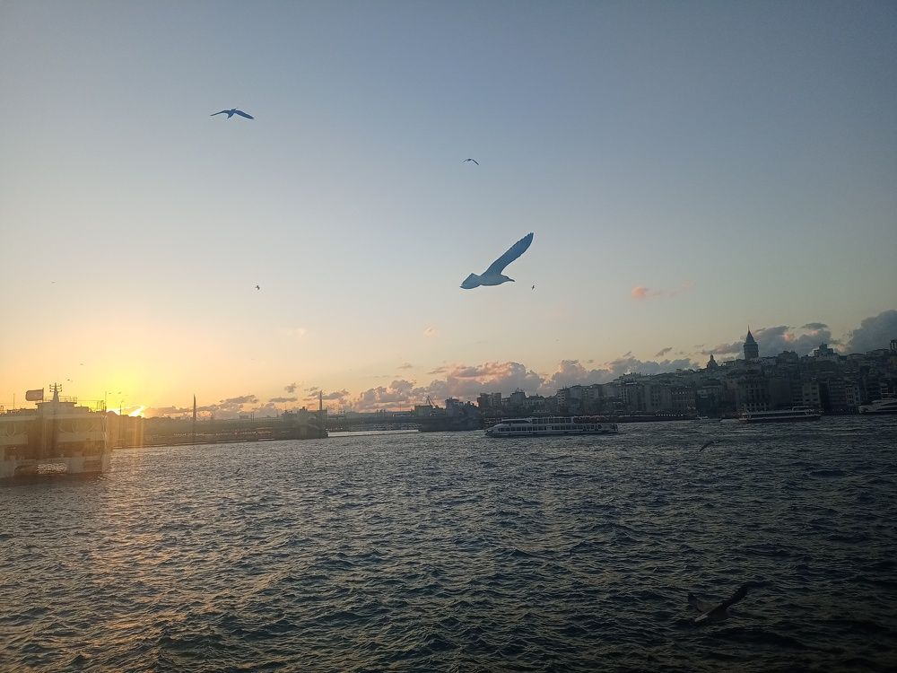 Photo #9139893