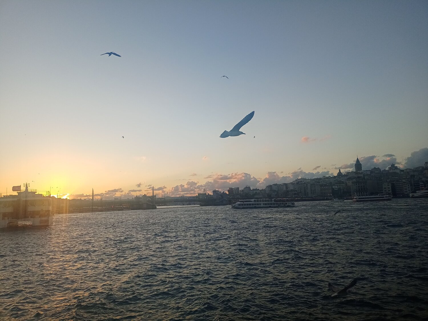 Photo #9139893