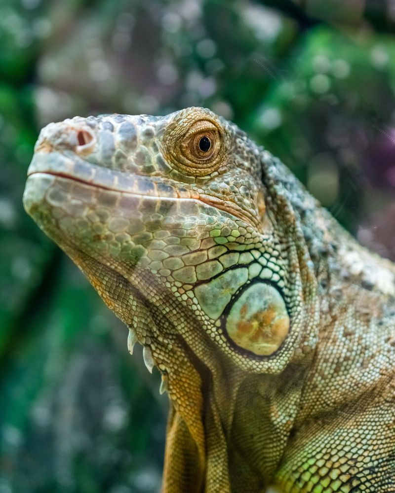 Photograph by Николай Головко