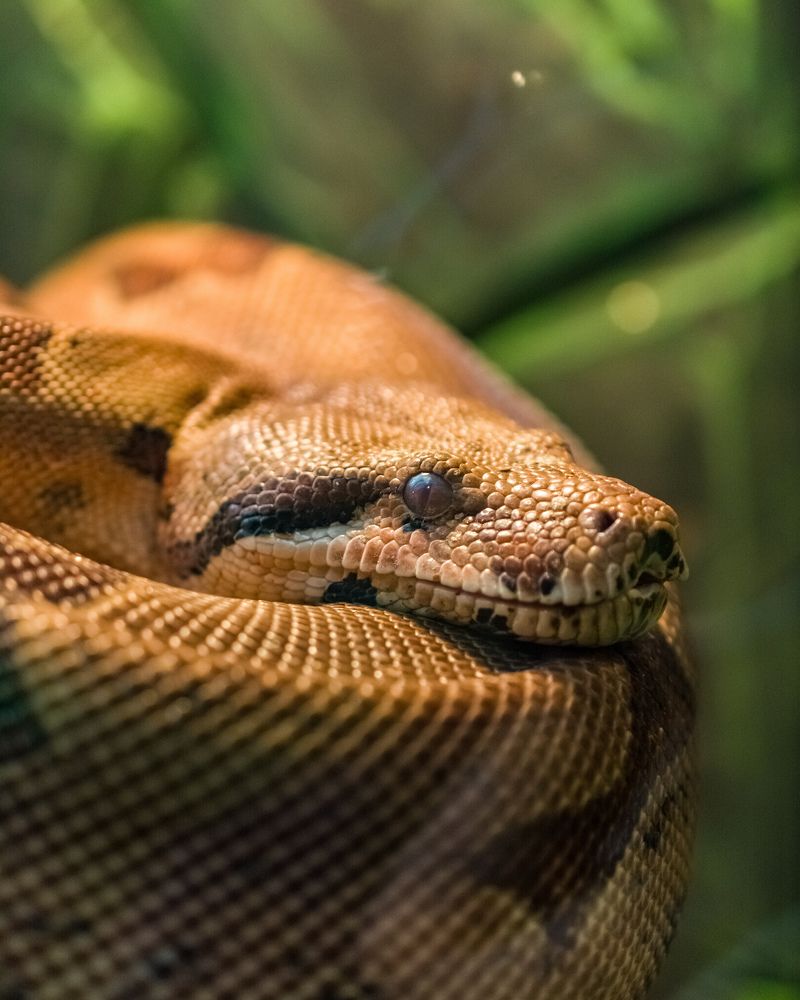 Photograph by Николай Головко