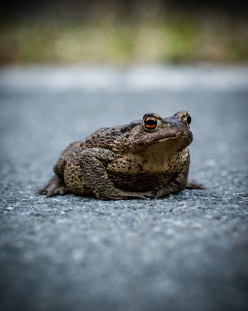 Photograph by Николай Головко