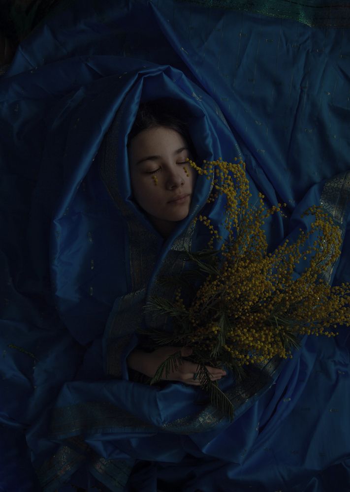 Спящаяя Мимоза