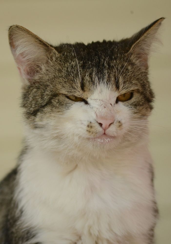 Photograph by Алексей Козлов