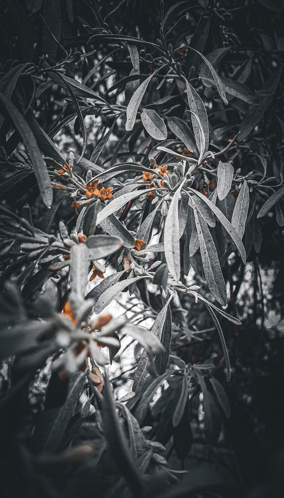 Photo #9140063
