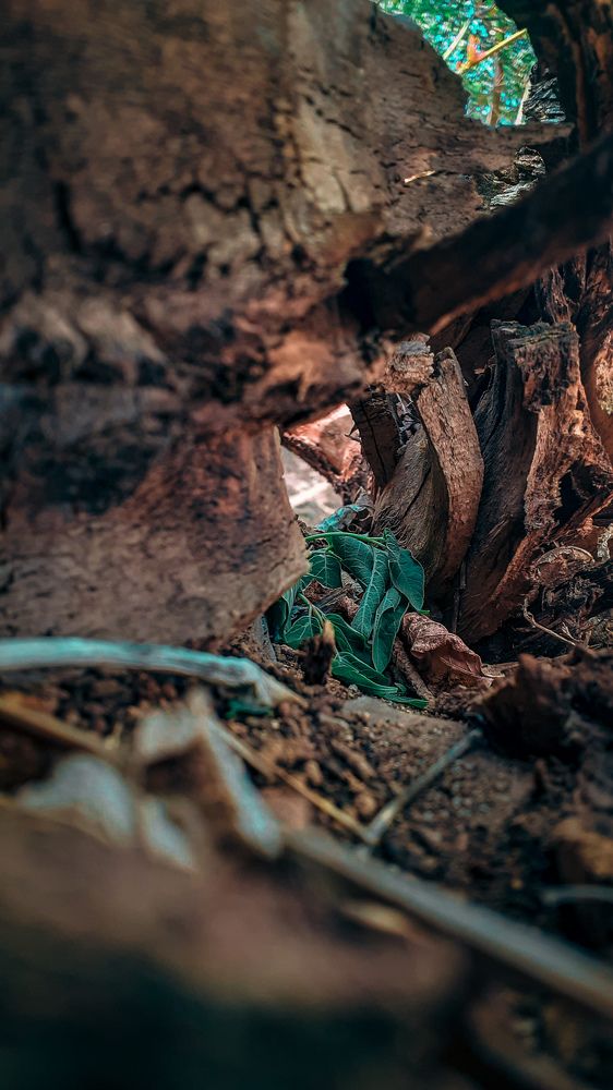 Photograph by Темирлан Амангелди