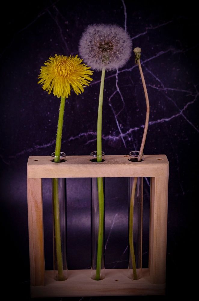 Photograph by Любовь Бусова