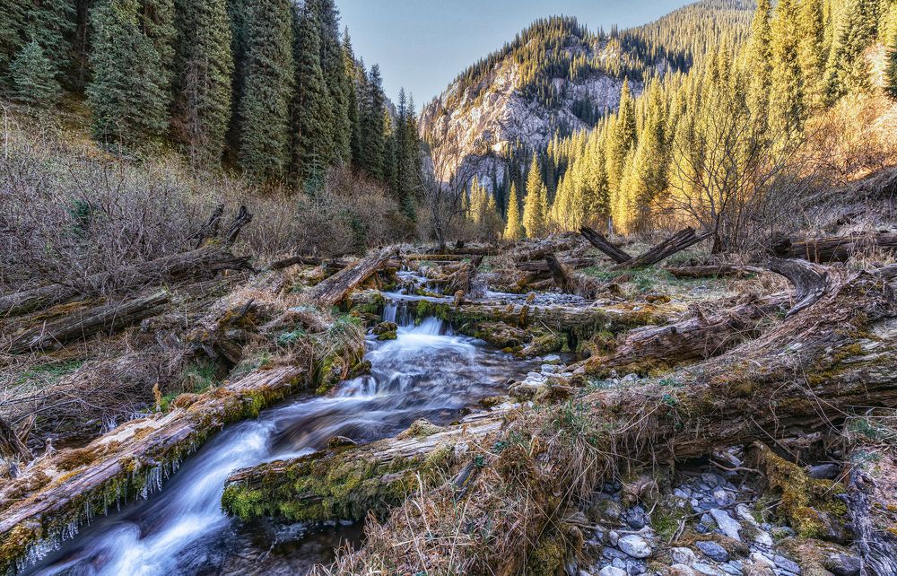 Photograph by Лазарев Сергей