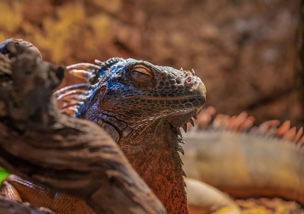 Фотография автора Волошин Андрей
