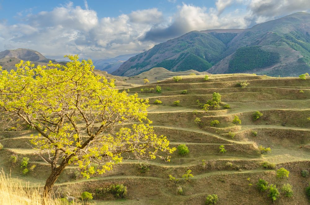 Photograph by Baynetov Dmitry