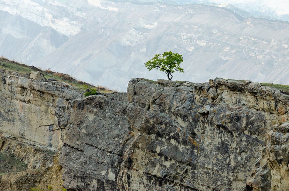 Photograph by Baynetov Dmitry