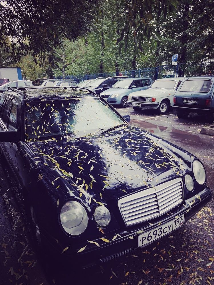 Photograph by Marina Green