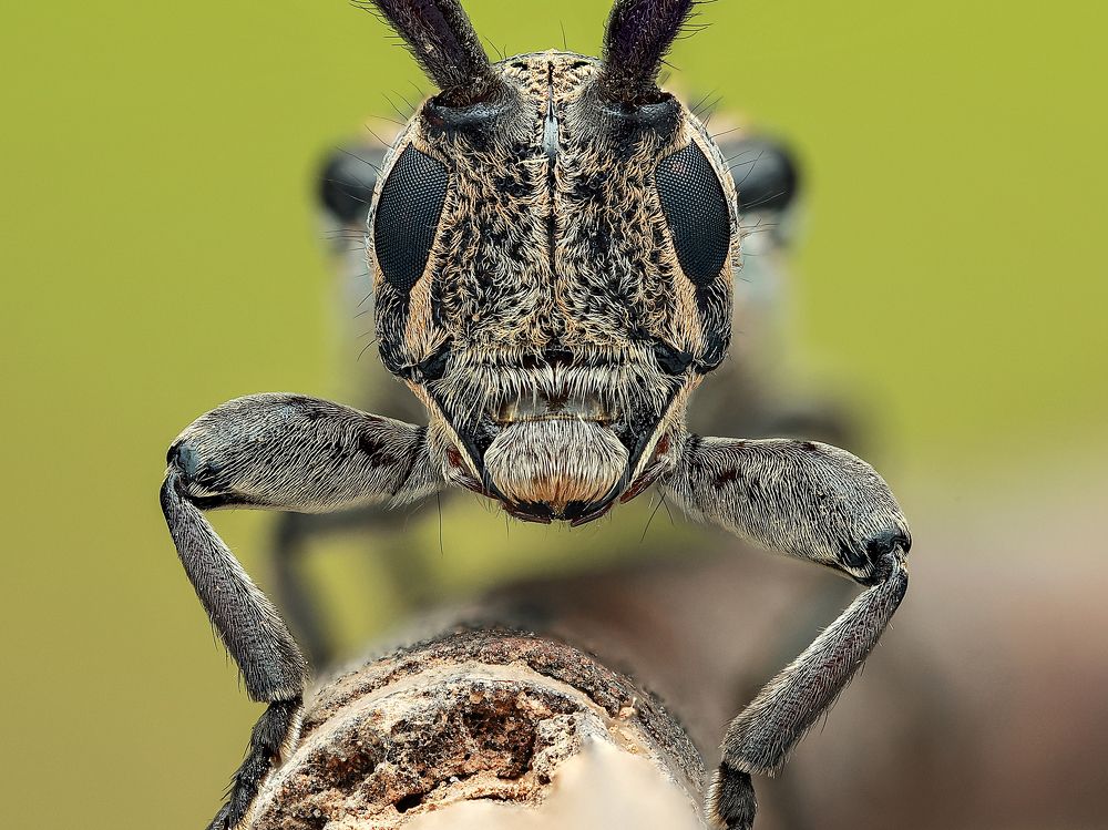 Photograph by Jacob Ng