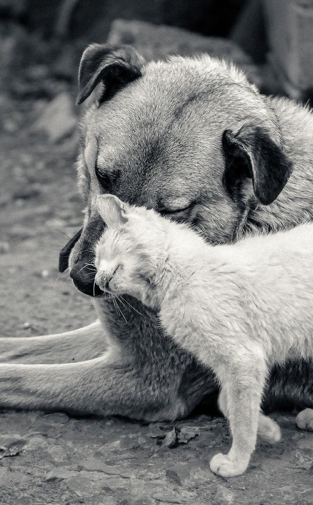 Photograph by Алексей Стариков (AlexOldmanPhoto)