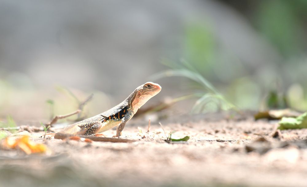 Photograph by Taiteep