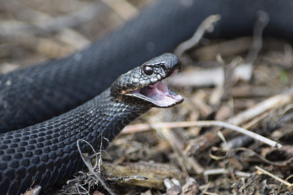 Photograph by Андрей Головин