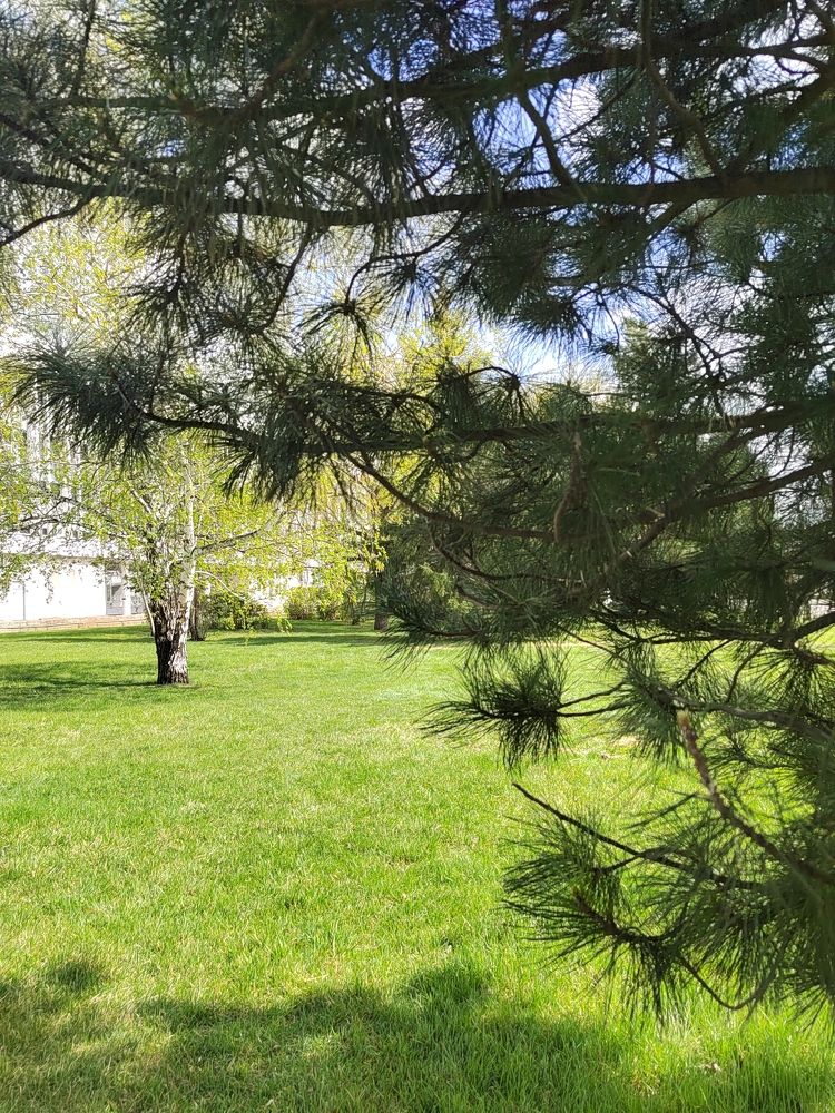 Photograph by Елена Аверьянова