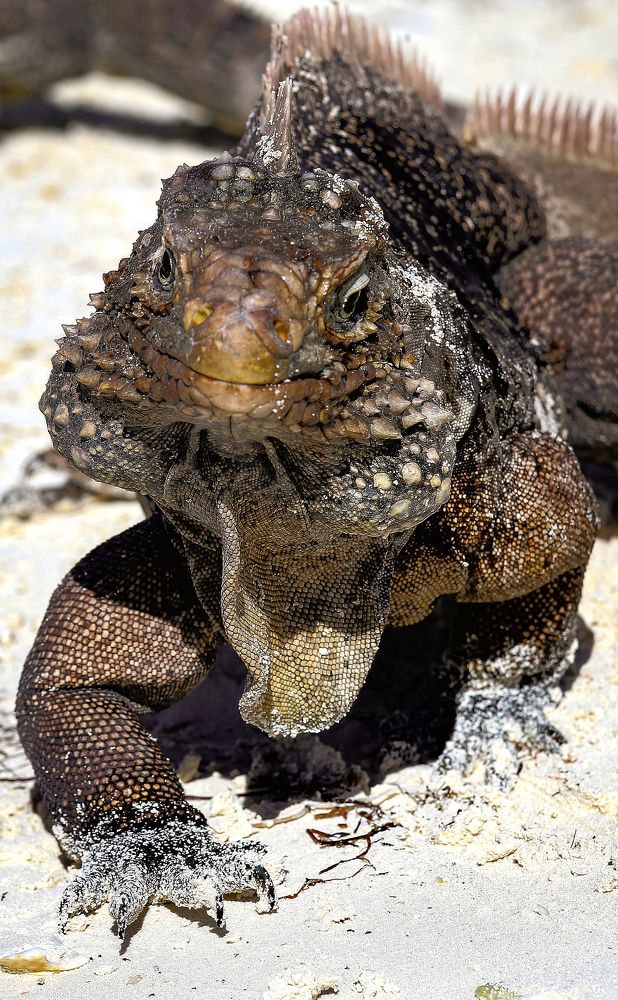 Photograph by Юлия Калугина