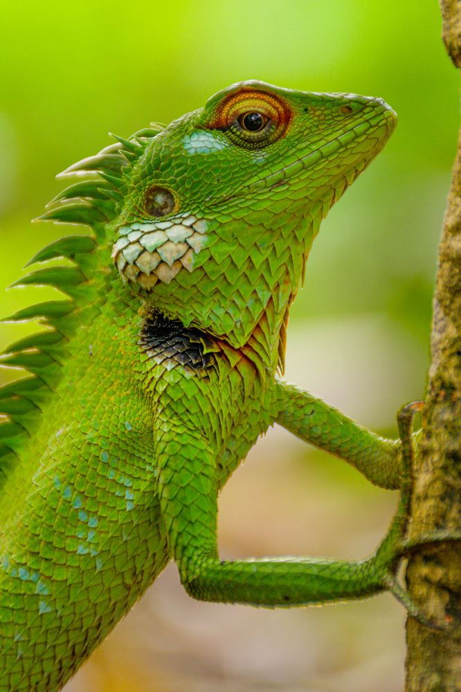 Photograph by Nidula Diluminda