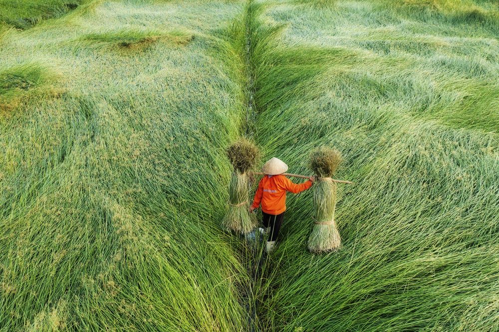 Photograph by CHU HUU LAC