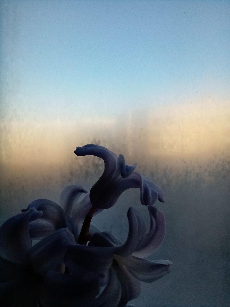 Photograph by Людмила Баглей