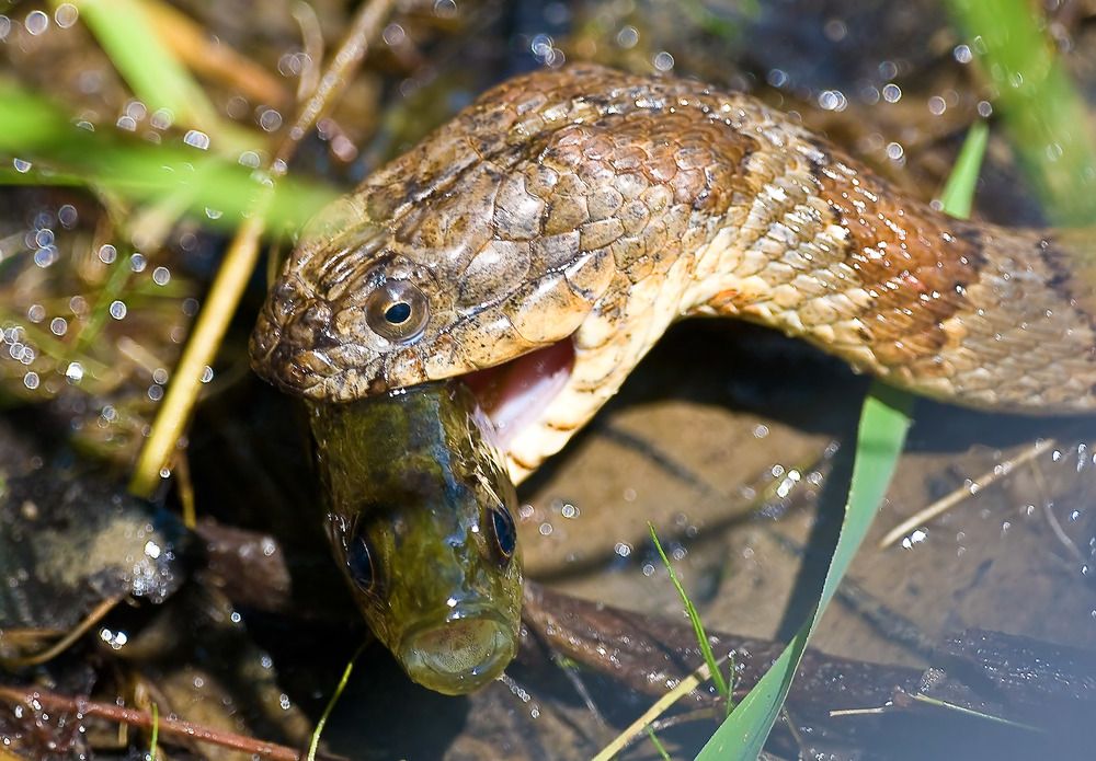 Photograph by Борис Новиков