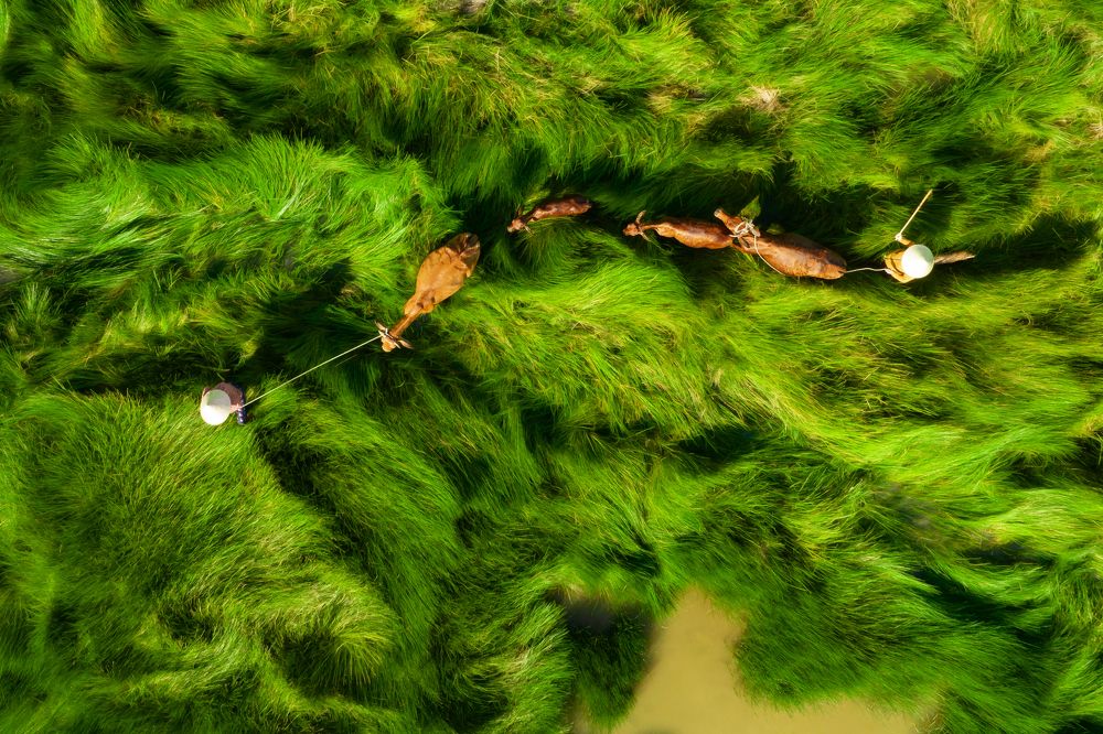 Photograph by Nguyen Ngoc Tuan