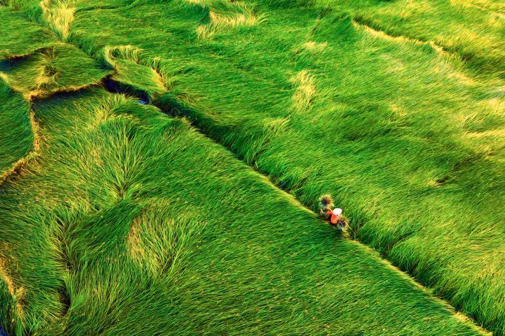 Photograph by Nguyen Ngoc Tuan