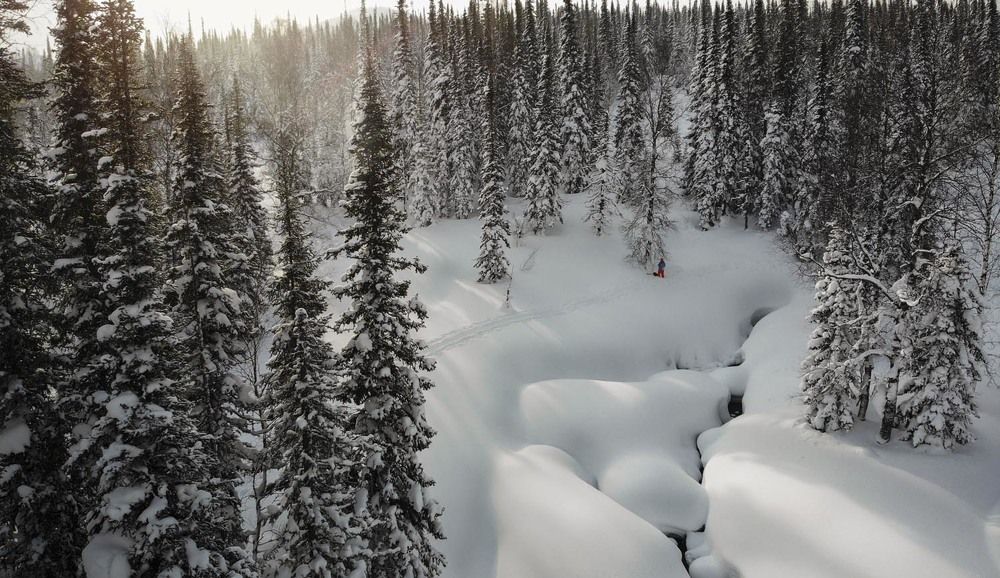 Фотография автора Татьяна Добровольская