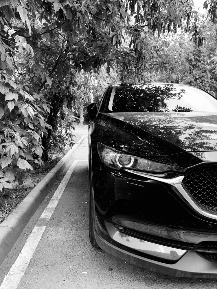 Photograph by Елена Макуха