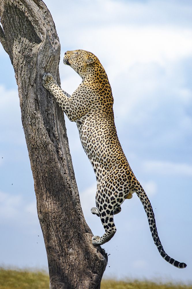 Photograph by Sangeetha Damodaran