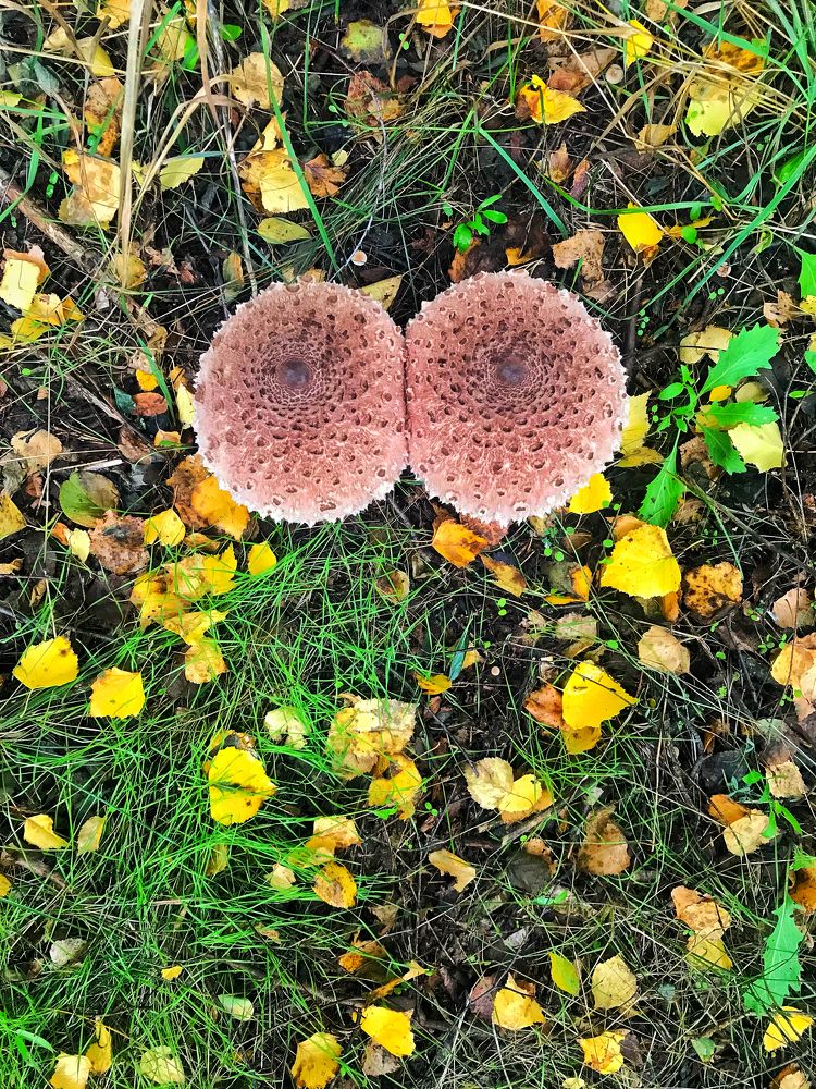 Фотография автора Артемий Николаевич