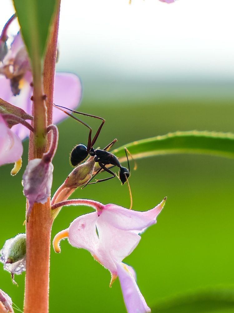 Photograph by Atul Shinde