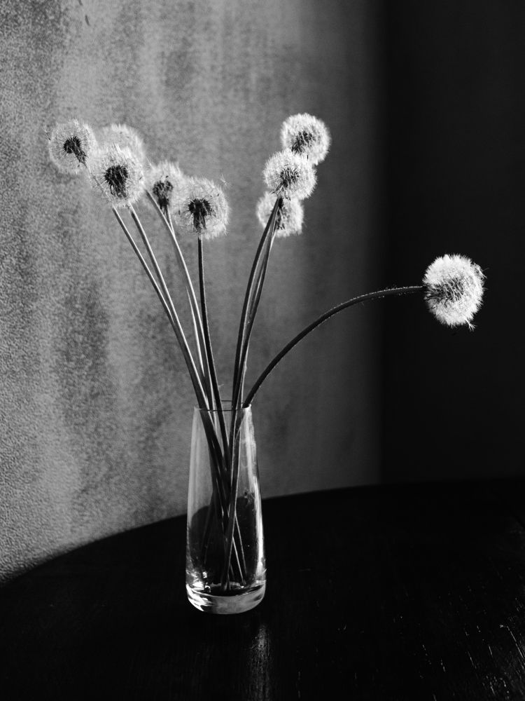 Photograph by Надежда Раскина