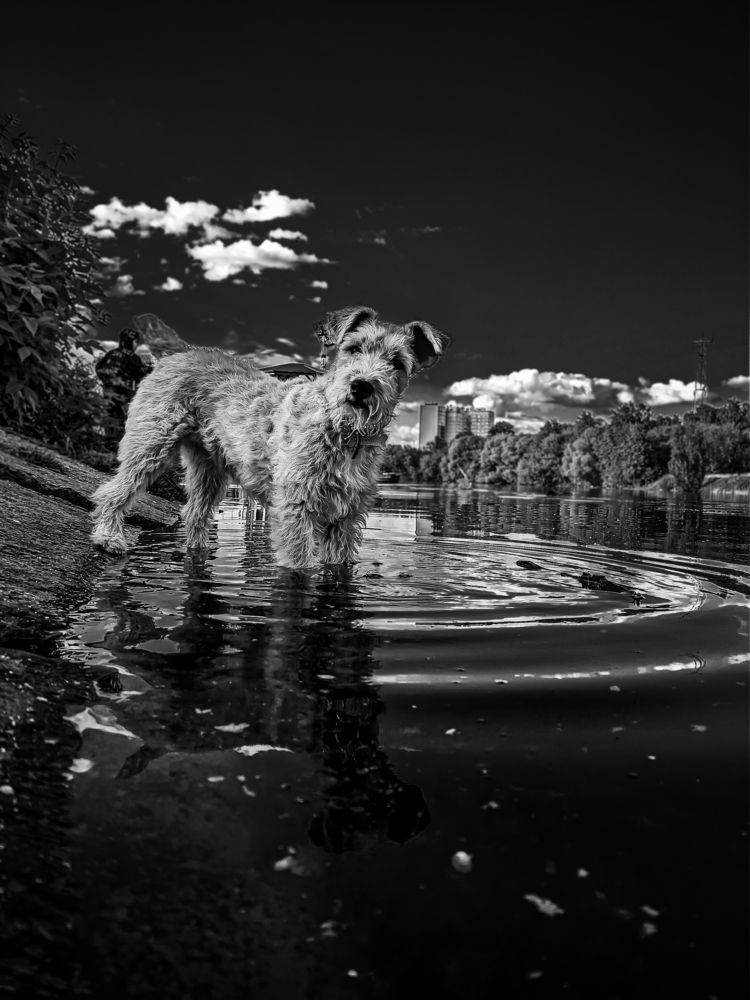 Фотография автора Пётр Чирков