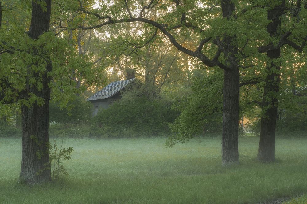 Photograph by Максим Вышарь