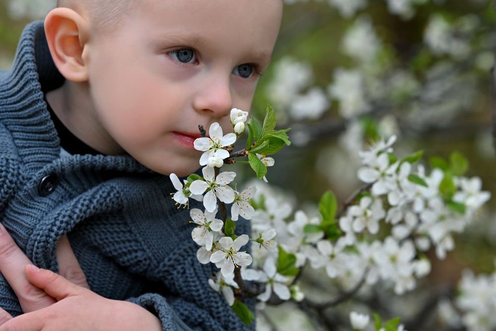 Фотография автора Mila Prophoto