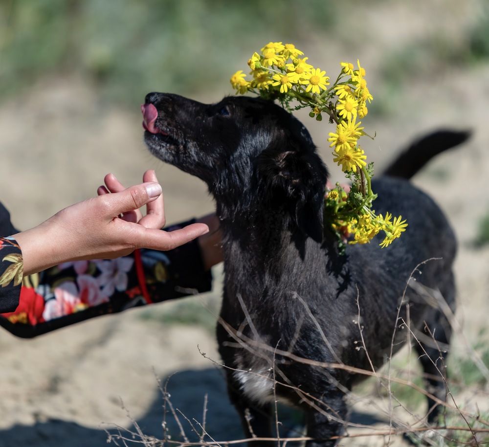 Photograph by Irina Beleva