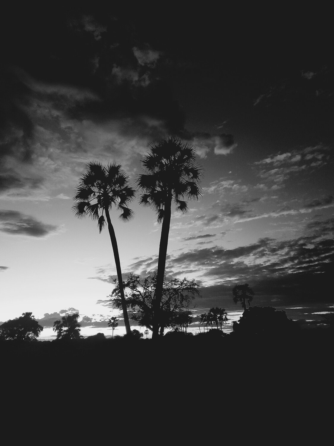 Photo #9141628