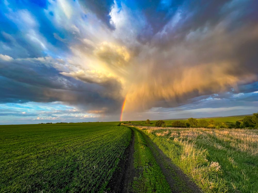 Photograph by Елена Сиушова