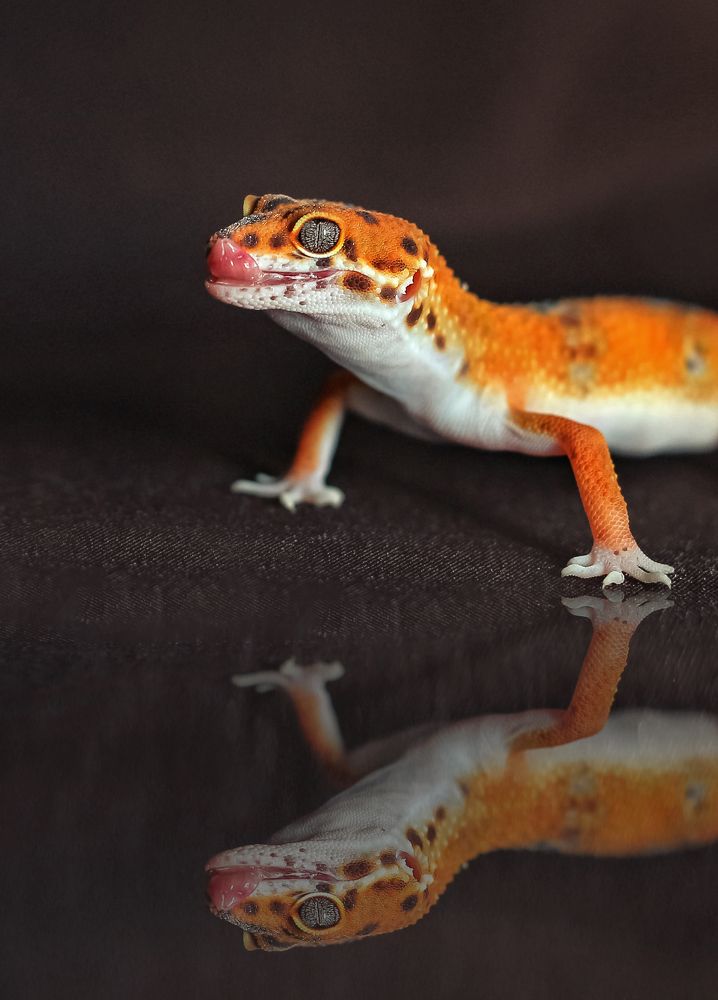 Photograph by Анна Волкова