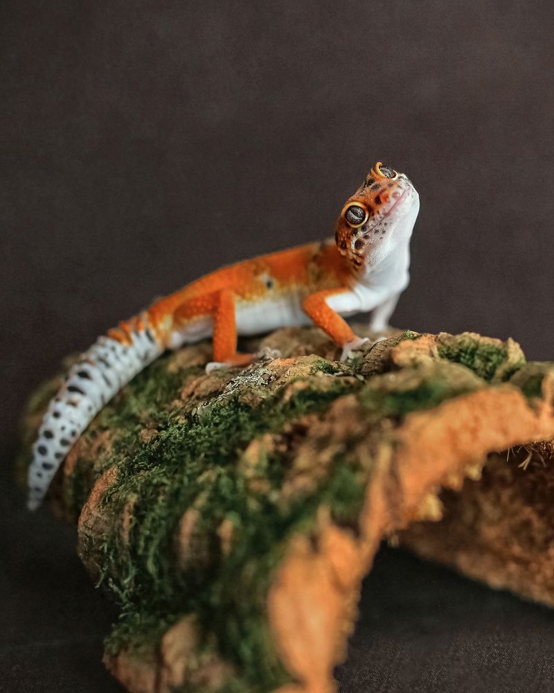 Photograph by Анна Волкова