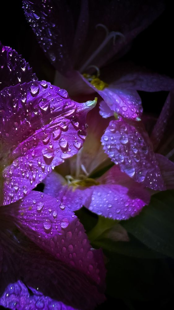 Photograph by Мария Сазонова