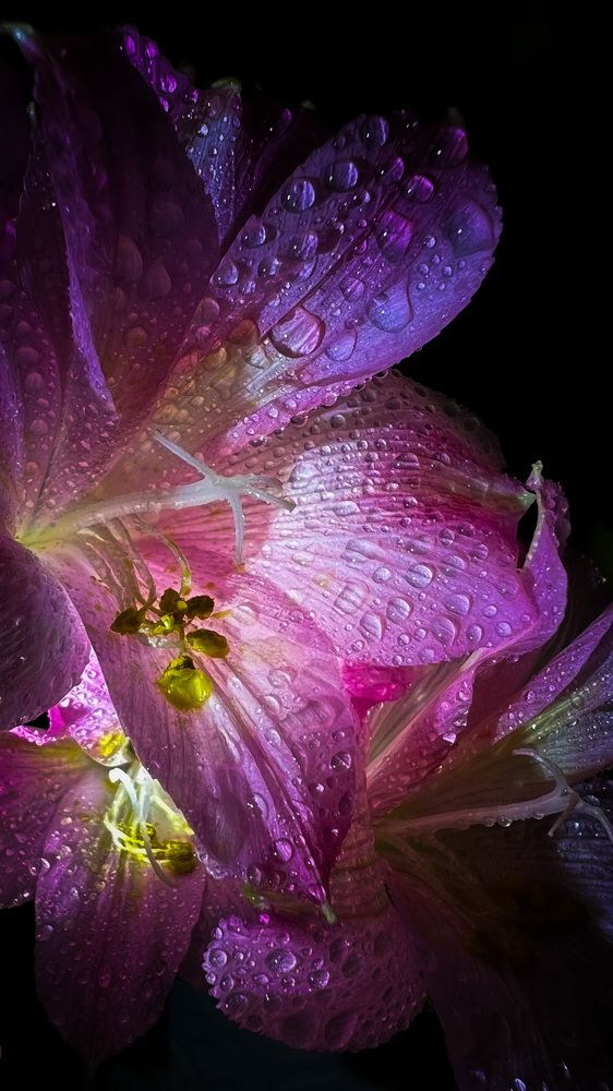 Photograph by Мария Сазонова