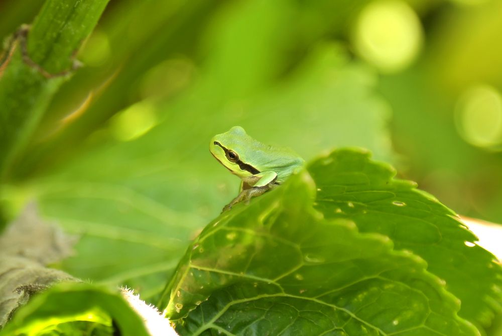Photograph by Наталья Жалнина