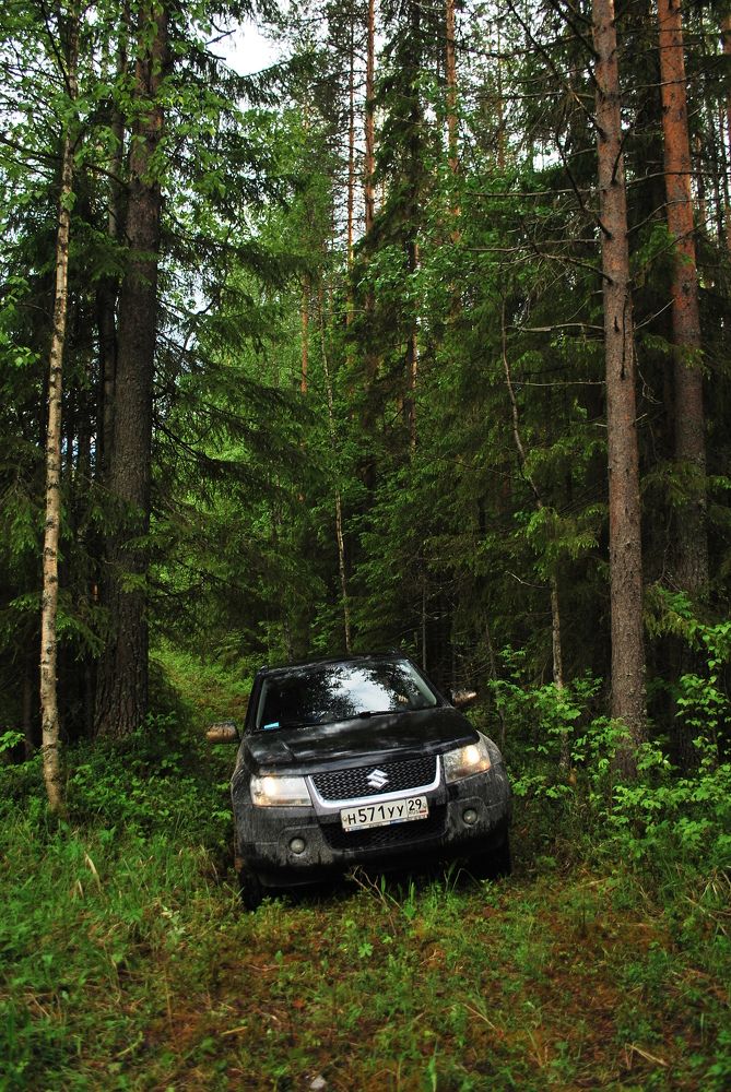 Photograph by Дмитрий Кривойван