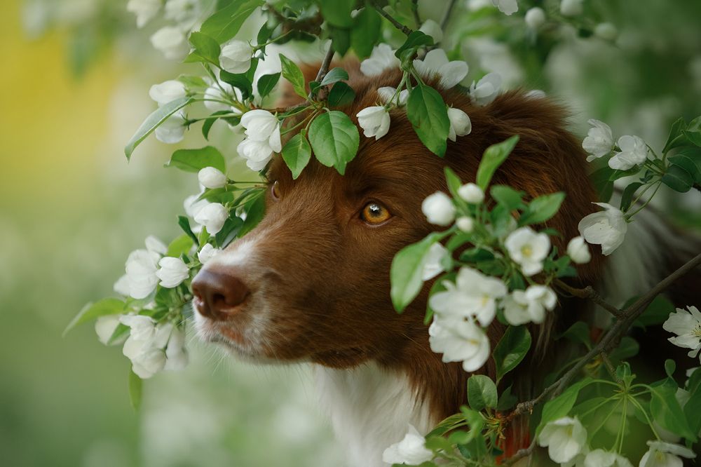 Photograph by Ольга Легенькая