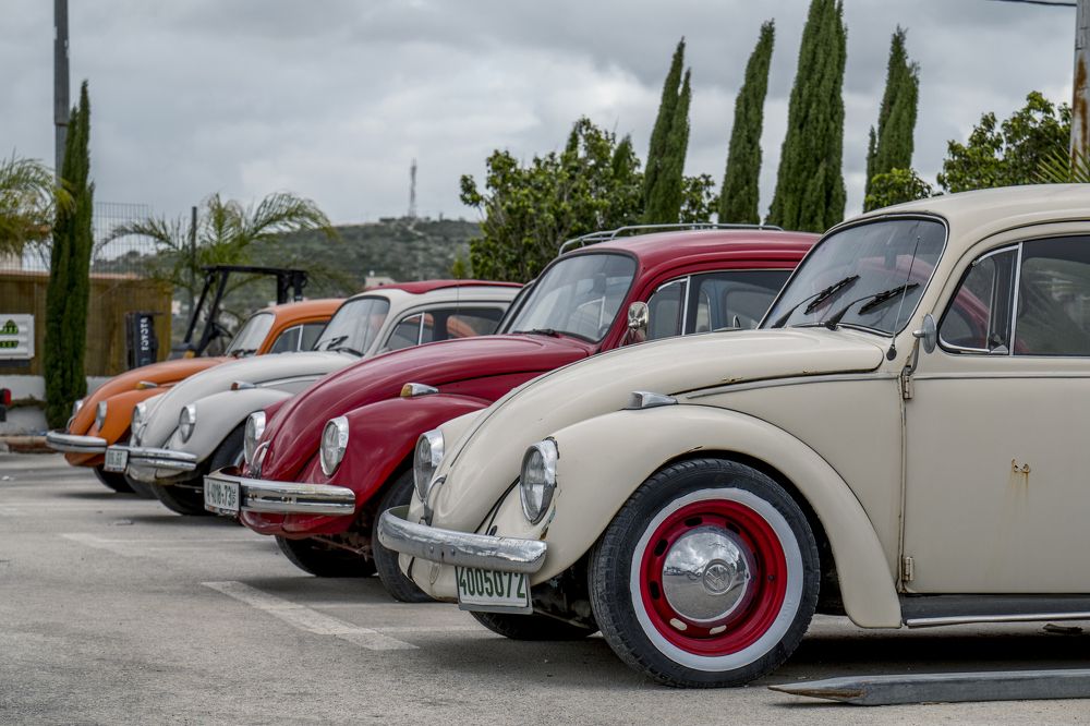 Photograph by Антон Шаркас