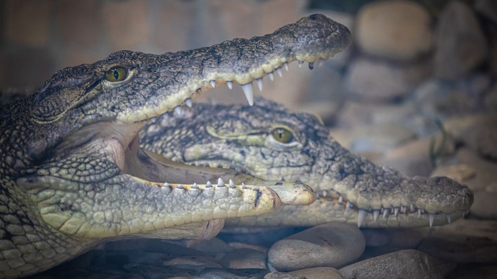 Photograph by Валентин Кольцов