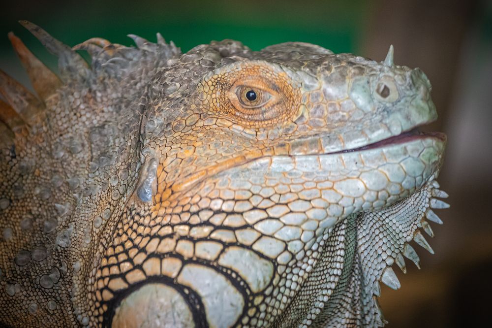 Photograph by Валентин Кольцов