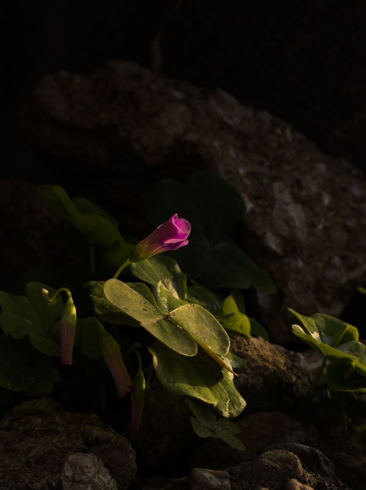 Фотография автора Gerun Ekaterina